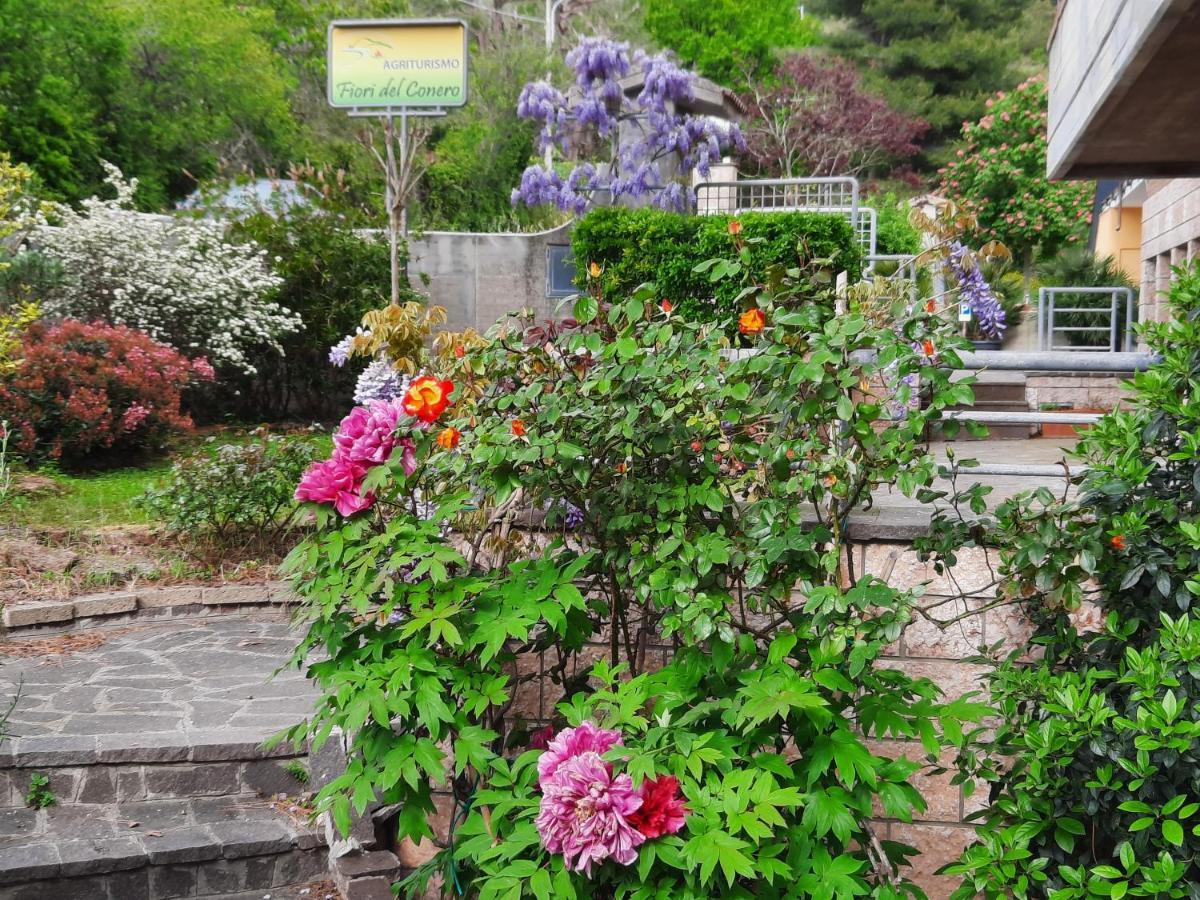 Fiori Del Conero Villa Ancona Dış mekan fotoğraf