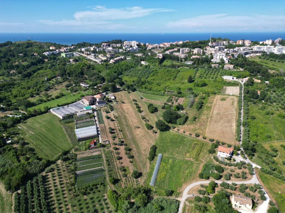 Fiori Del Conero Villa Ancona Dış mekan fotoğraf